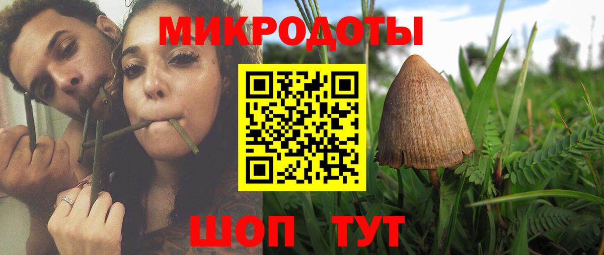 Галлюциногенные грибы Psilocybine cubensis  Галлюциногенные грибы мицелий  Среднеуральск  Вход с VPN 